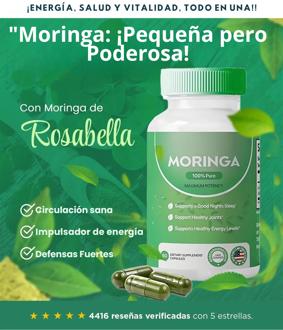 MORINGA ROSABELLA